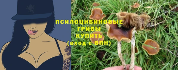 МДПВ Лихославль