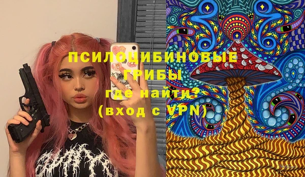 твердый Сосновка
