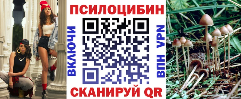 блэк спрут маркетплейс  Макаров  Псилоцибиновые грибы Magic Shrooms 
